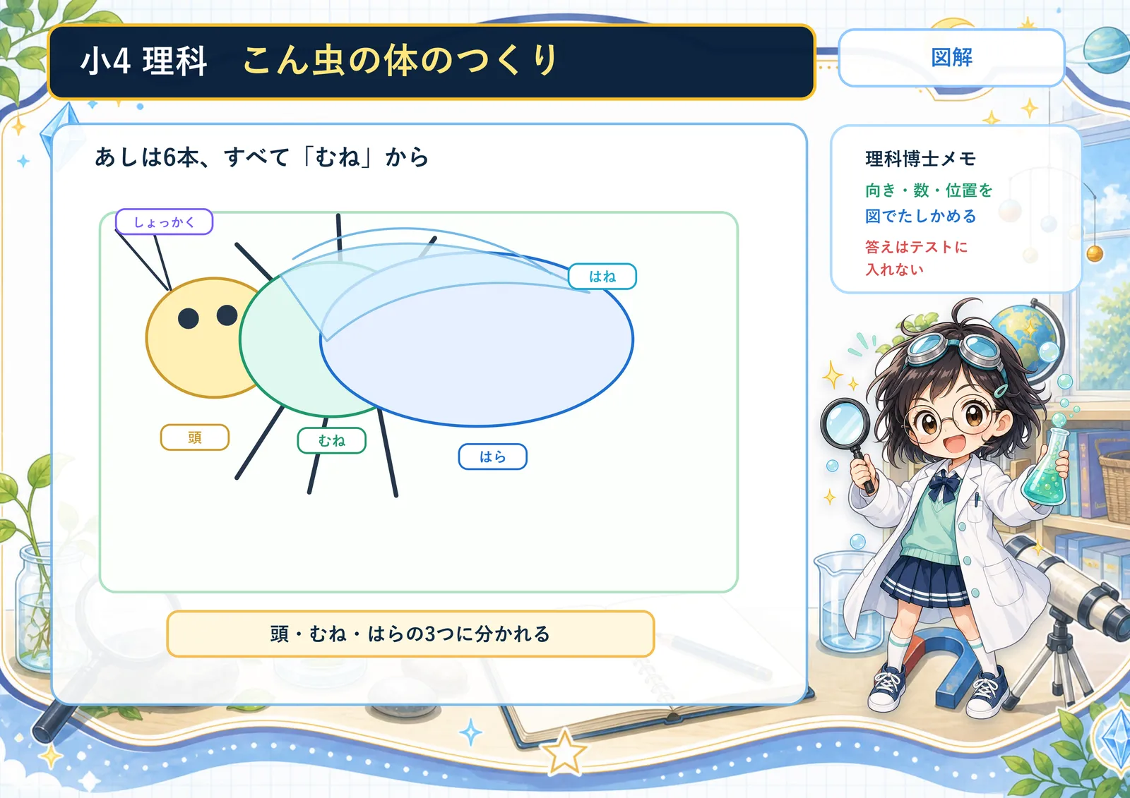 こん虫の体のつくりの図解