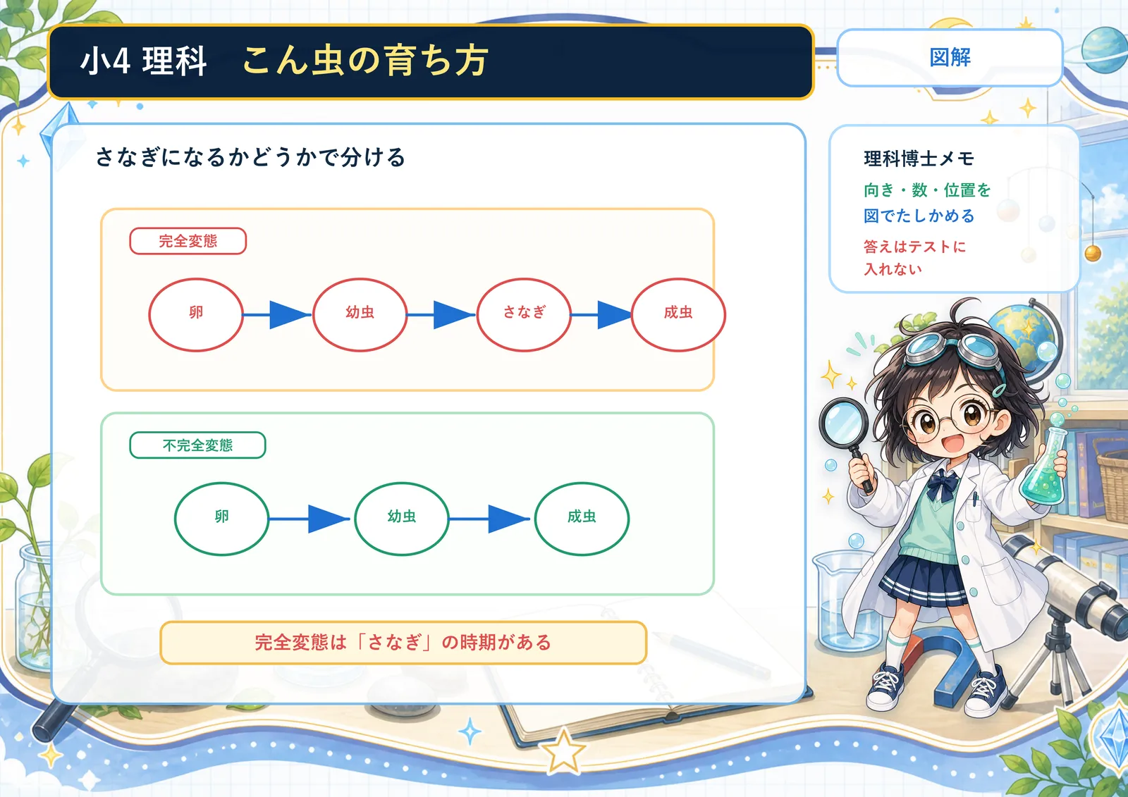 こん虫の育ち方の図解