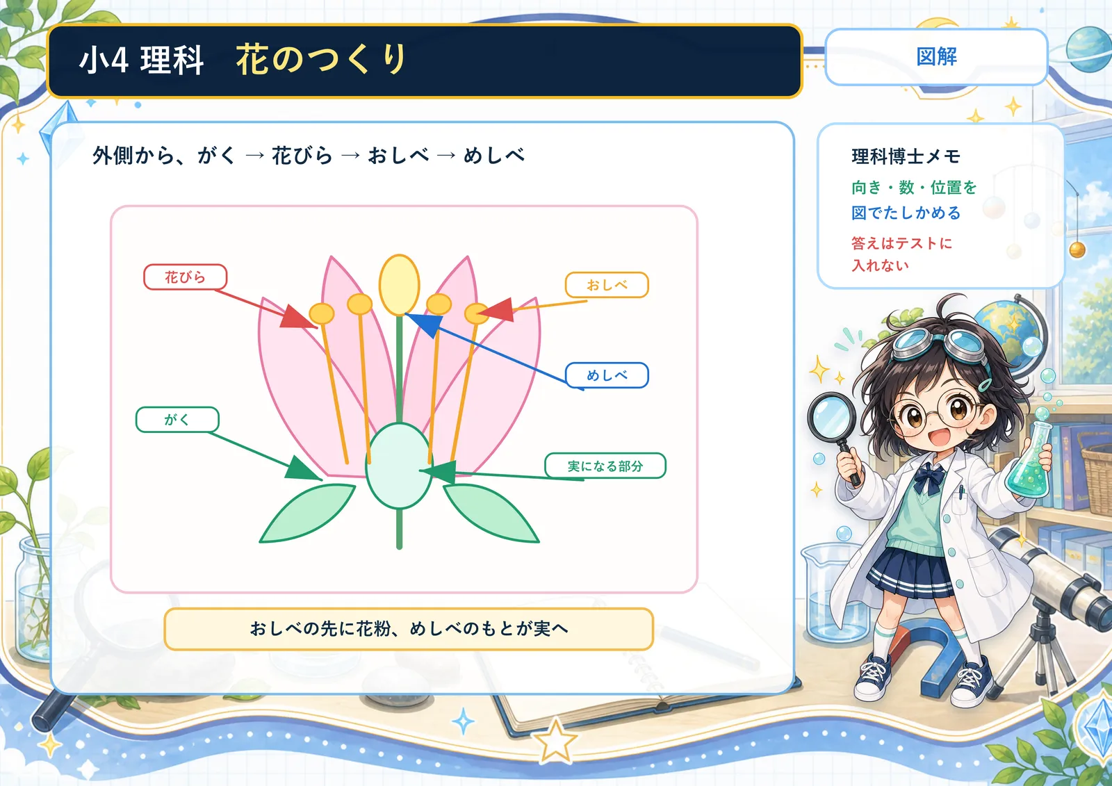 花のつくりの図解