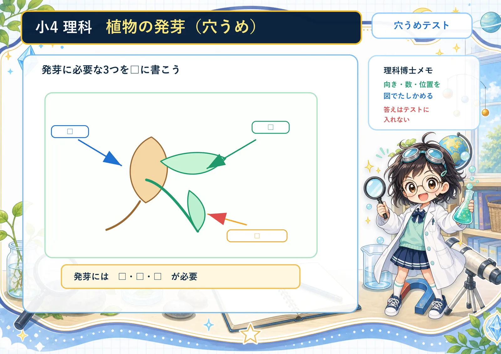 植物の発芽（穴うめ）