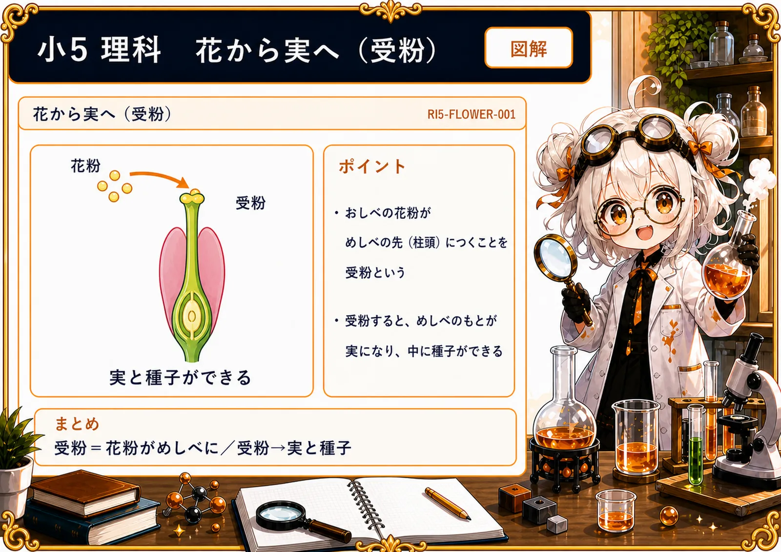 花から実へ（受粉）の図解