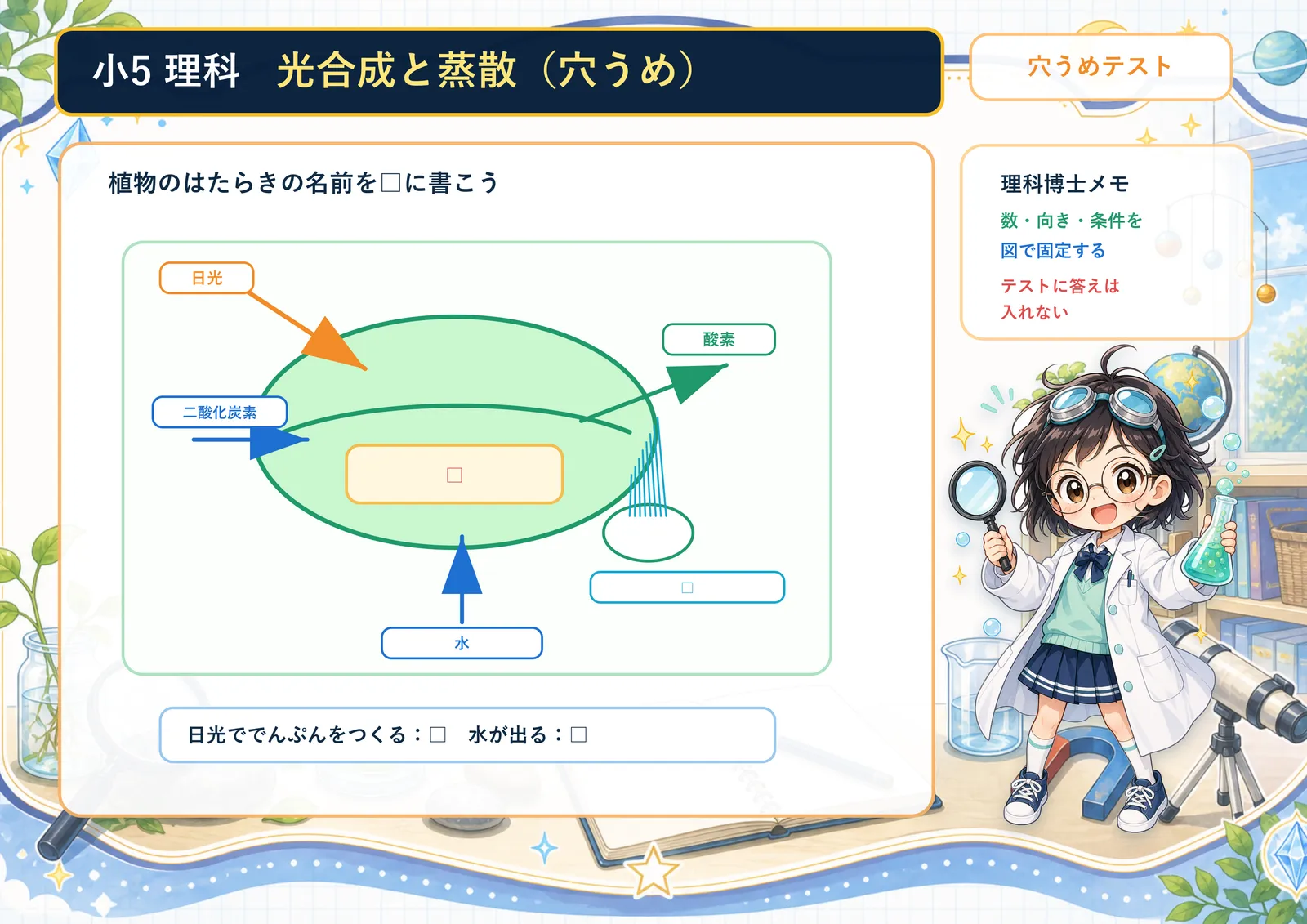 光合成と蒸散（穴うめ）