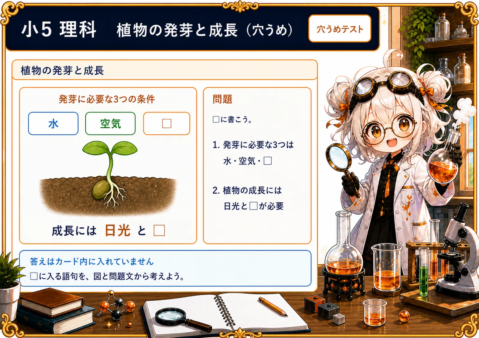 植物の発芽と成長（穴うめ）